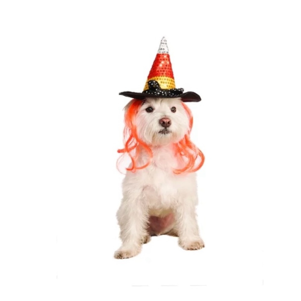 Pet small costume Candy Corn Witch Hat With Orange Hair For Dog or Cat
